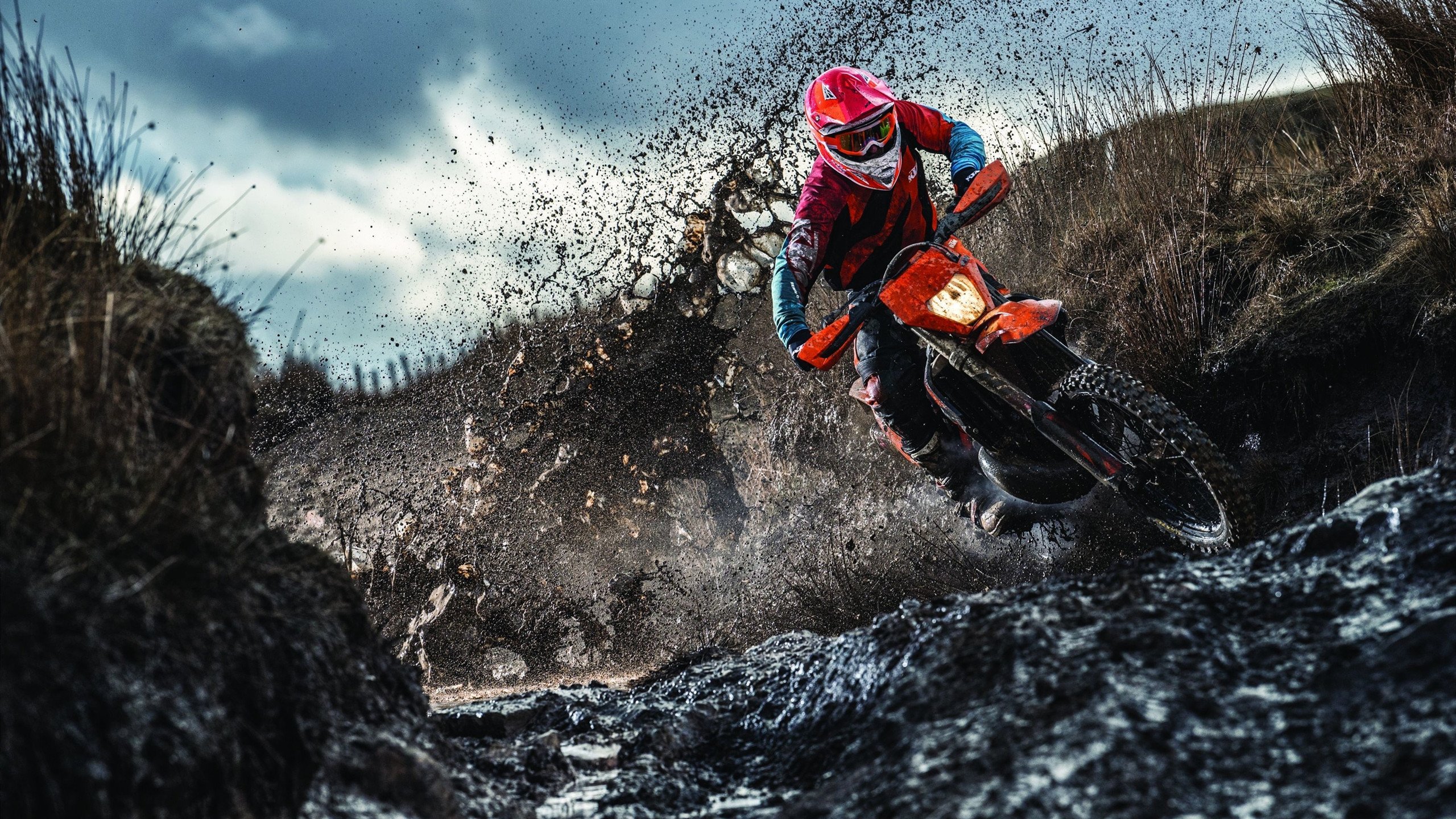 雄鹿打穿辽宁队，米切尔成为关键先生