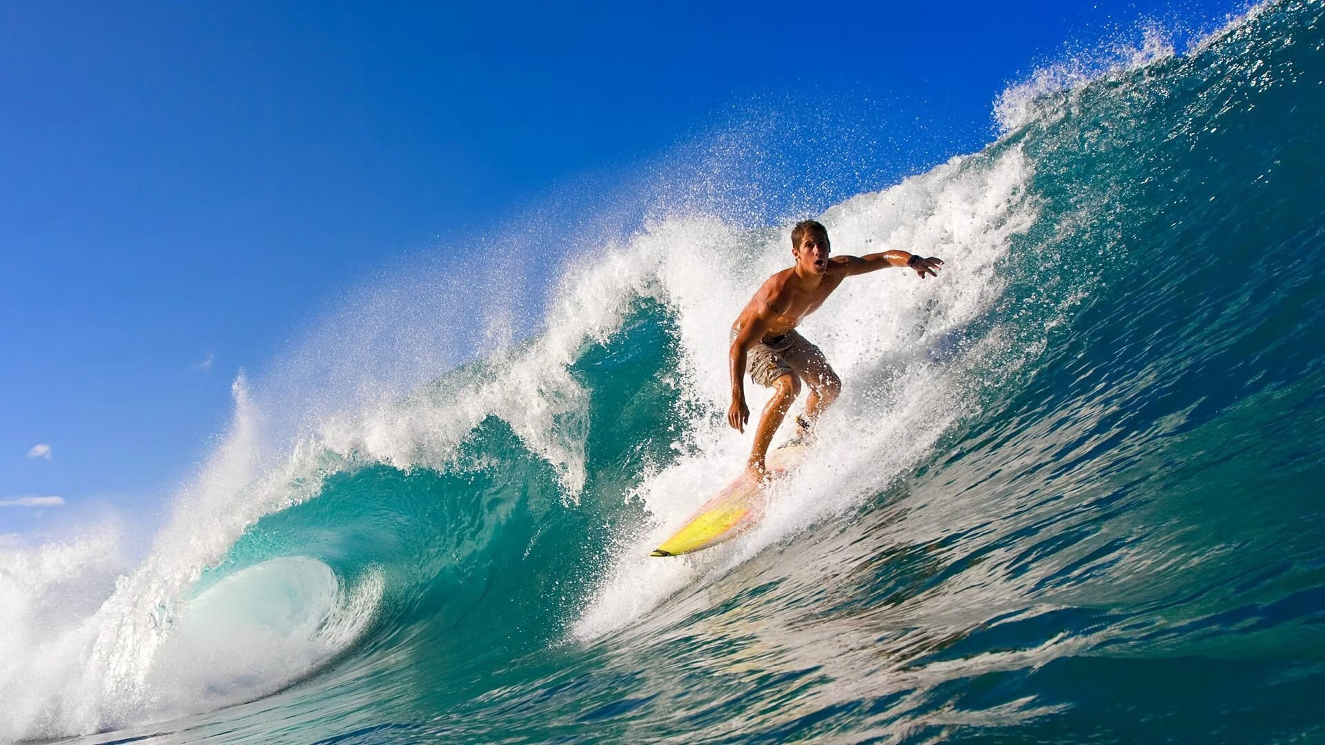 从温网逆转戴维斯杯，穆雷如何用不屈意志点燃赛场