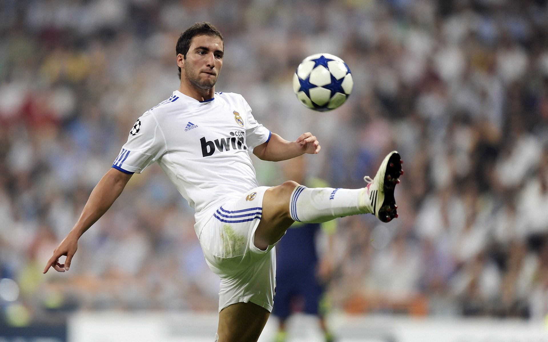 波兰队轻取日本队，许昕状态火热